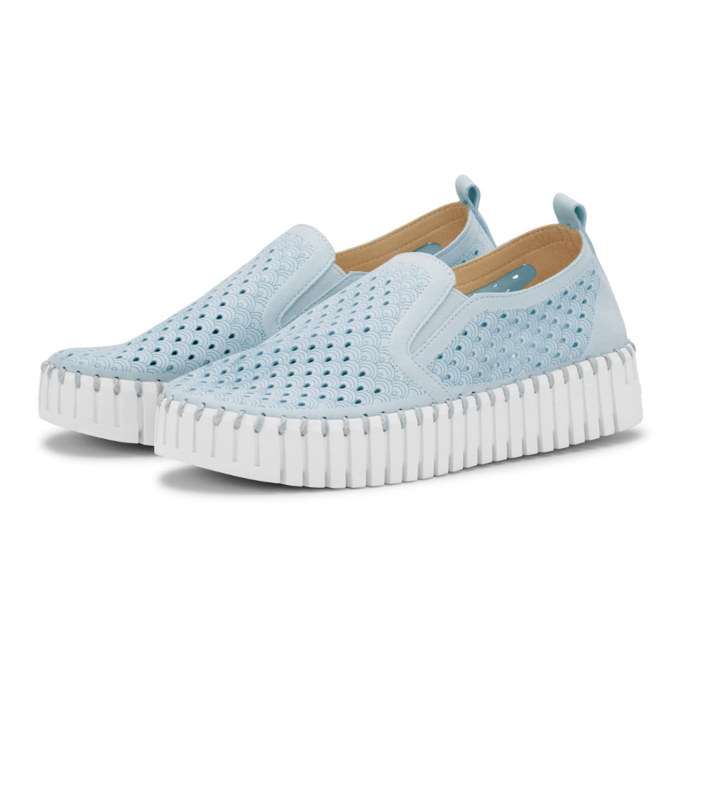 Isle Jacobsen Tulip 141