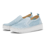 Isle Jacobsen Tulip 141