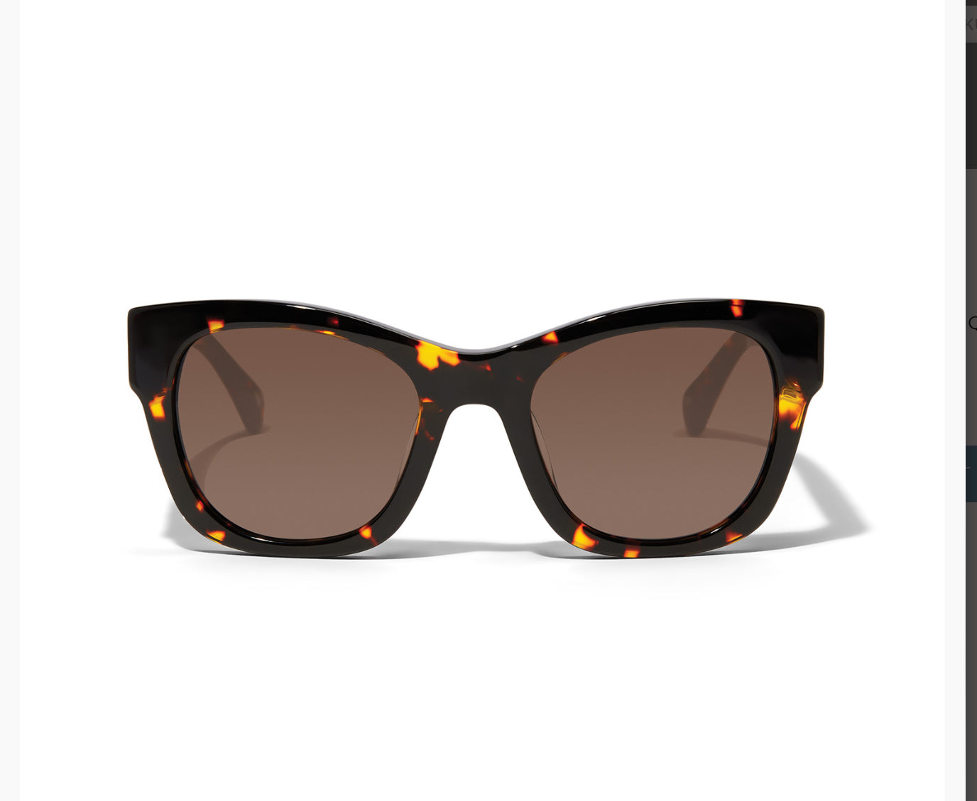 Brighton Contempo Medallion Sunglasses