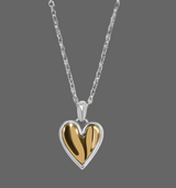 Brighton Cascade Heart Petite Necklace JM7518