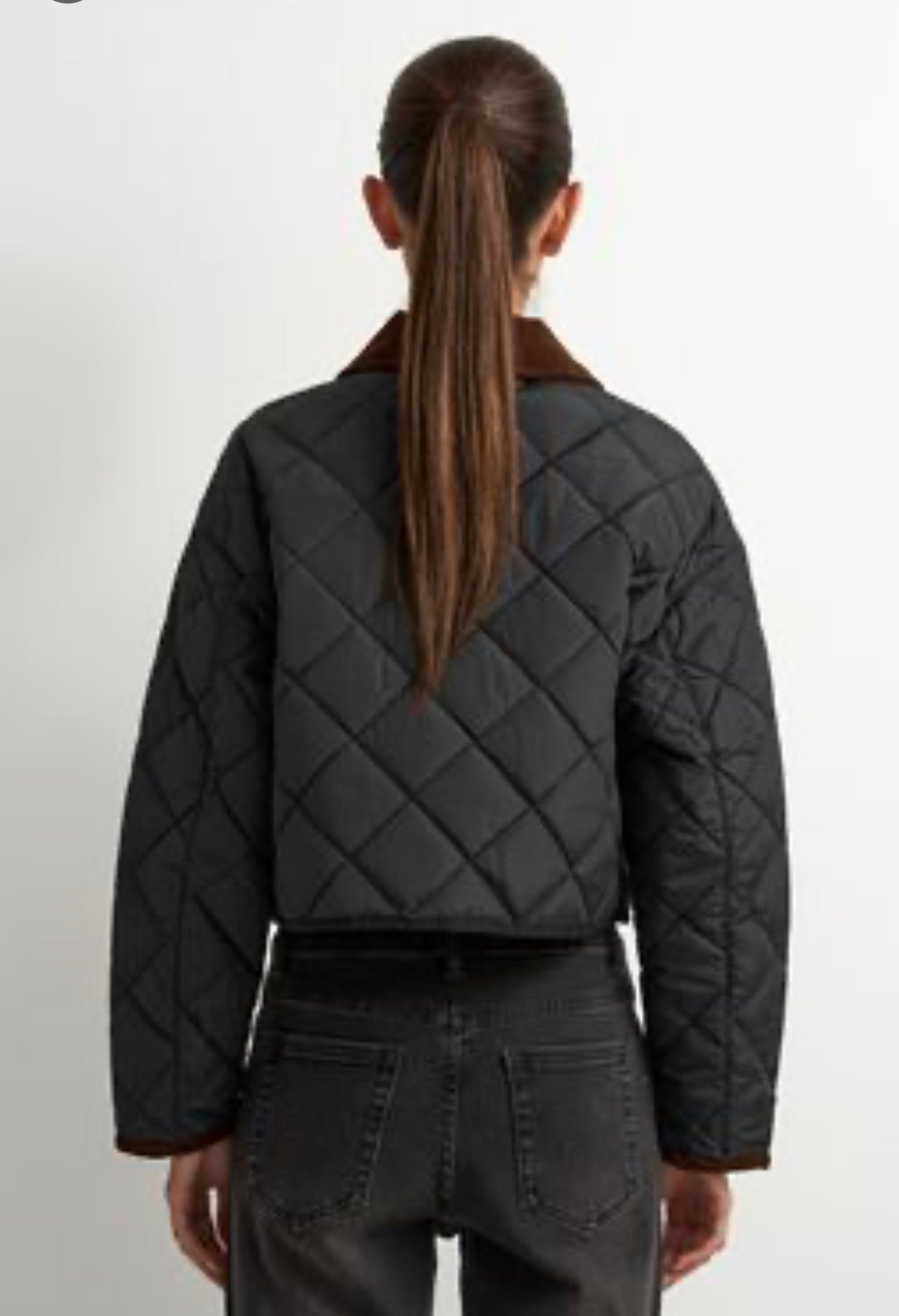 Bolide Whiskey Jacket
