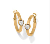 Brighton mystery of love ears ja0210