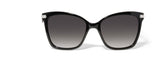 Brighton Illumina Bow Sunglasses