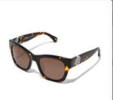 Brighton Contempo Medallion Sunglasses