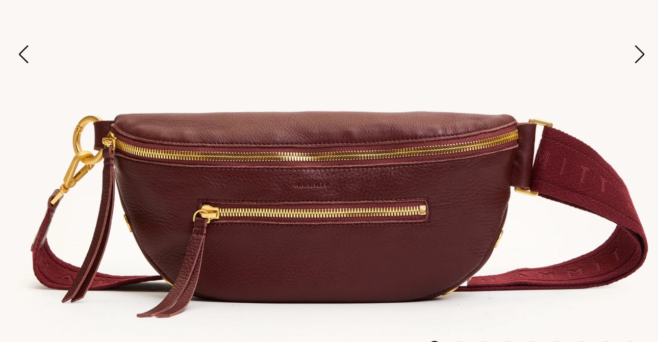 Hammitt Charles Belt Bag