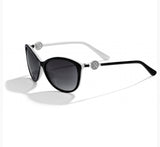 Brighton Ferrara black white sunglasses a12623