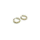 Erin Gray Sunshine Hoop Earrings - Gold Filled 10mm