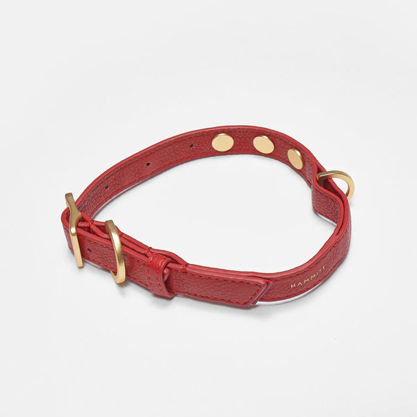 Hammitt Cam Dog Collar