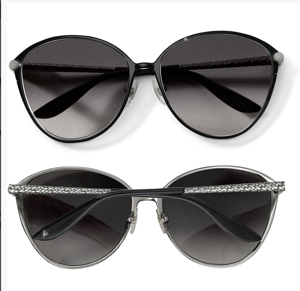 Brighton Ferrara Gatta Sunglasses A12903